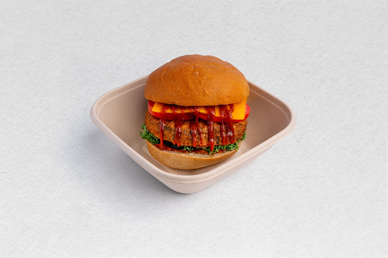 Burger Vegetal