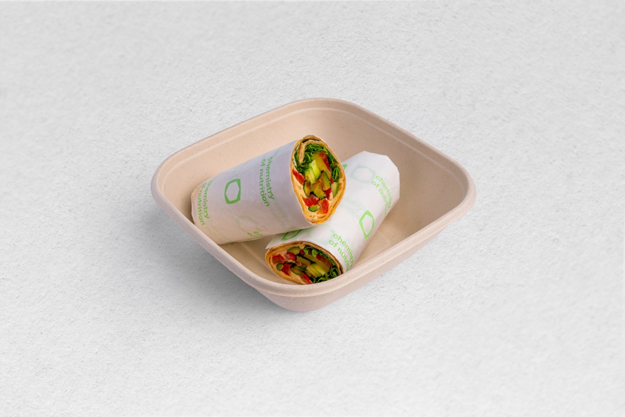 Grilled Veggies and Hummus Wrap