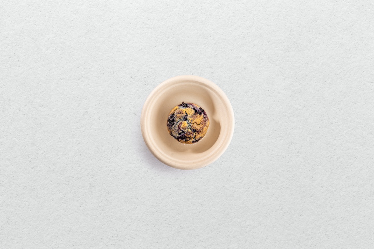 Zesty Blueberry Muffin